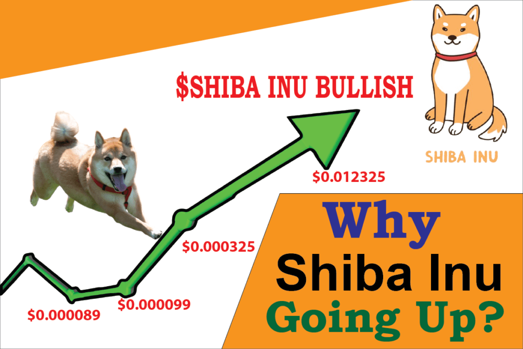 Why Is Shiba Going Up Today
