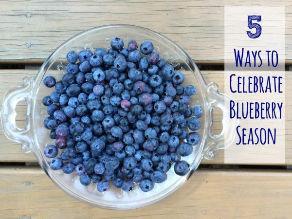 When Are Blueberries In Season