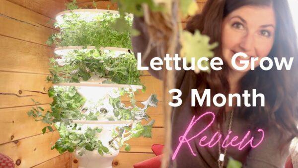 Lettuce Grow Reviews