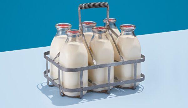 Where To Buy Milk In Glass Bottles