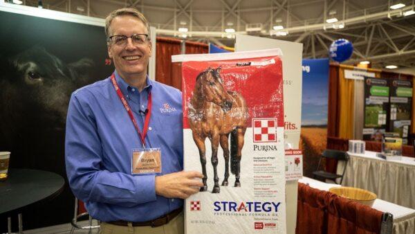Strategy Horse Feed Reviews