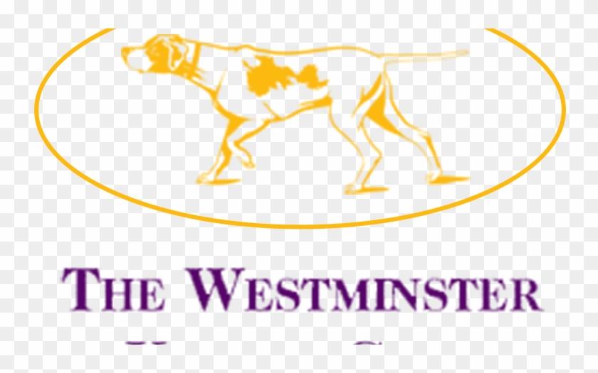 Westminsterkennelclub.org Results
