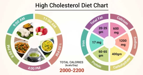 Cholesterol Diet Sheet