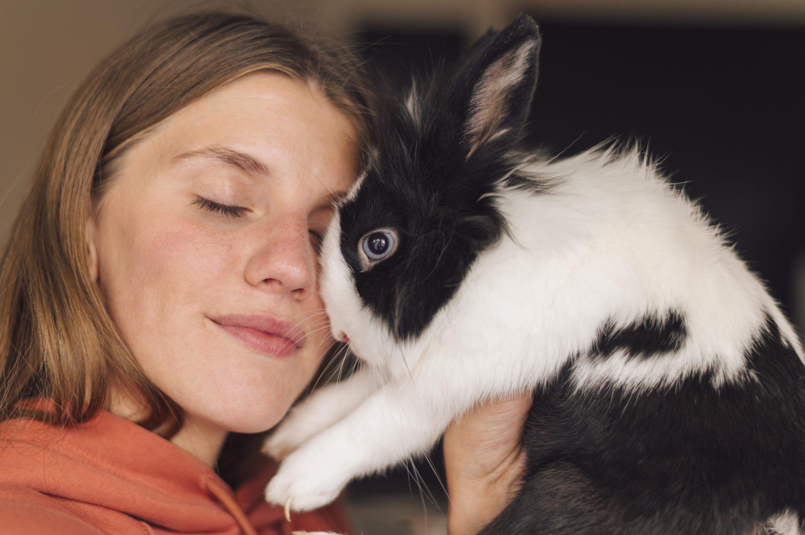 Rabbit Hemorrhagic Disease Ontario