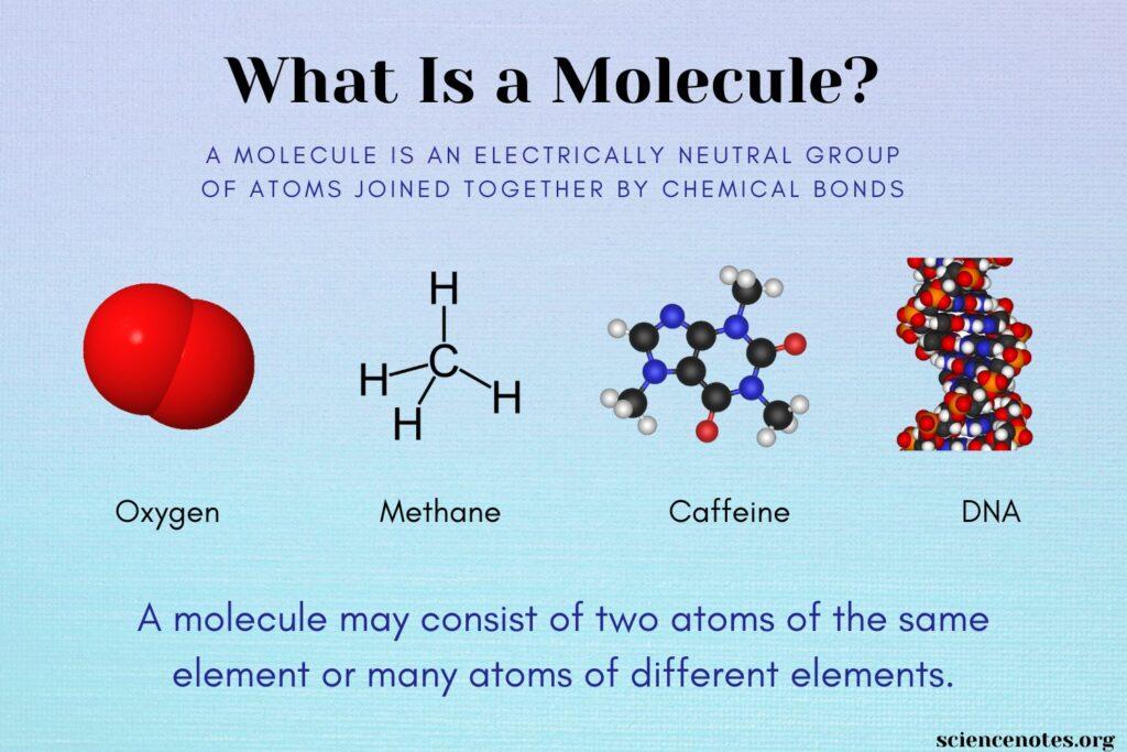 Molecule Containing Two O Atoms 