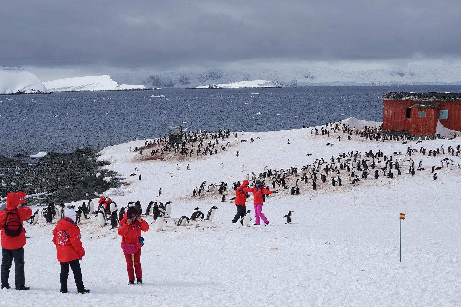 travel trade and tourism in arctic ocean