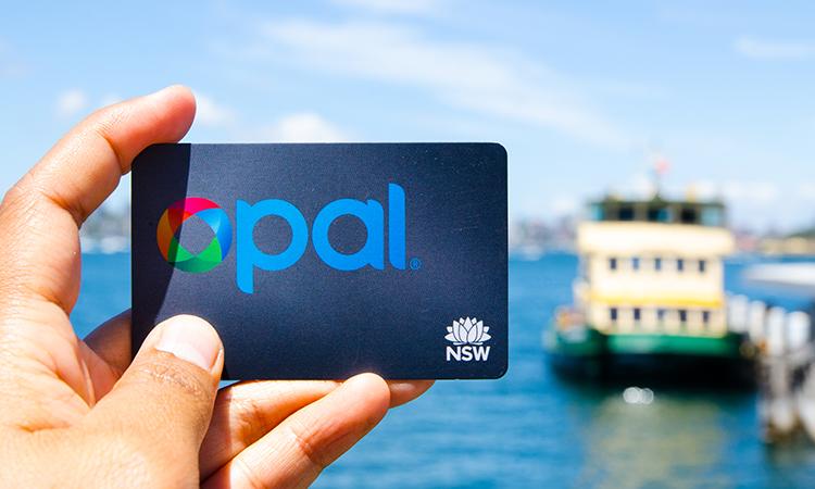Where Can You Buy Opal Cards