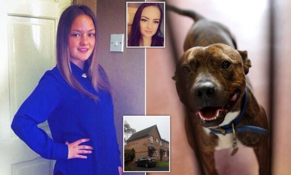 Woman Killed By Dog Rotherham