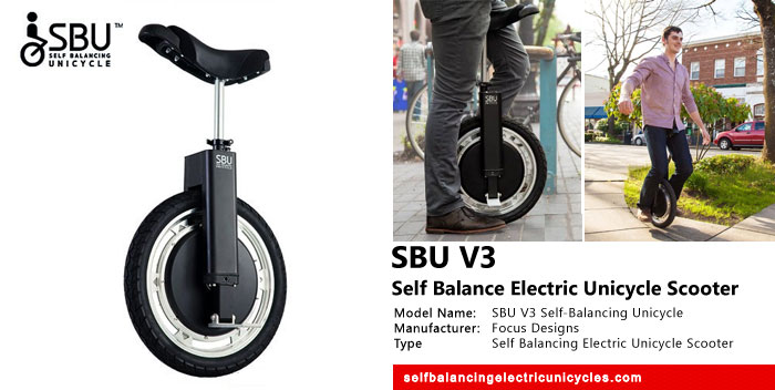 Sbu Unicycle Net Worth