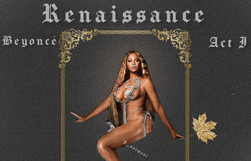 Beyonce Renaissance Vinyl
