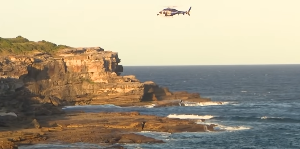 Video Of Shark Attack Sydney
