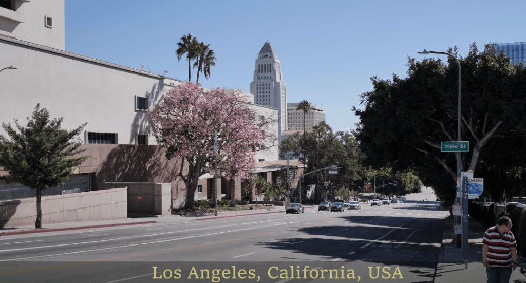 City Near Los Angeles
