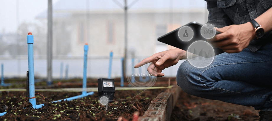 Greensens Smart Plant Sensors