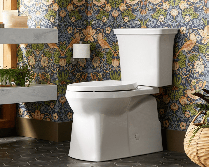 Kohler Self Cleaning Toilet Reviews