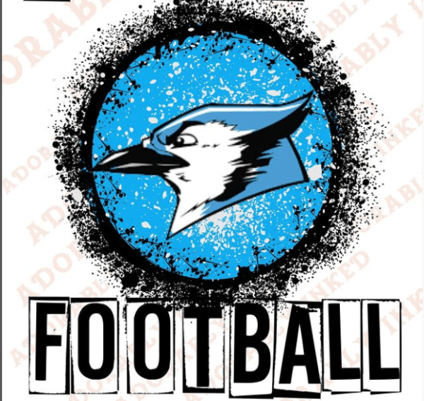 Blue Jays 50/50 Buy Online Skinny Ninja Mom