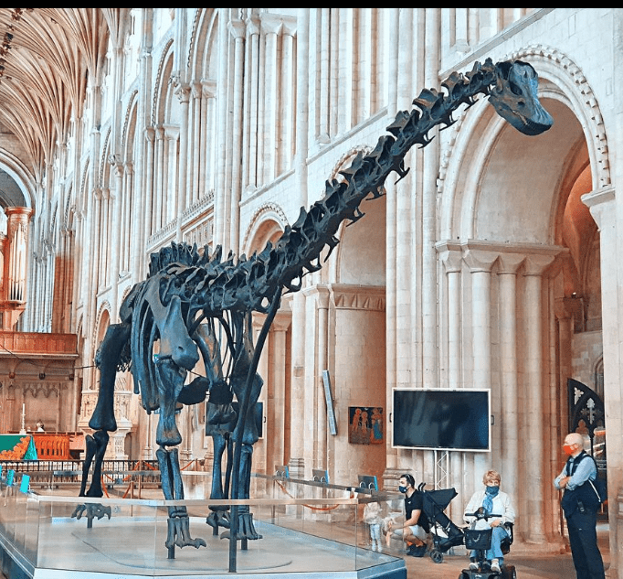 How Long Is Dippy The Dinosaur At The Natural History Museum