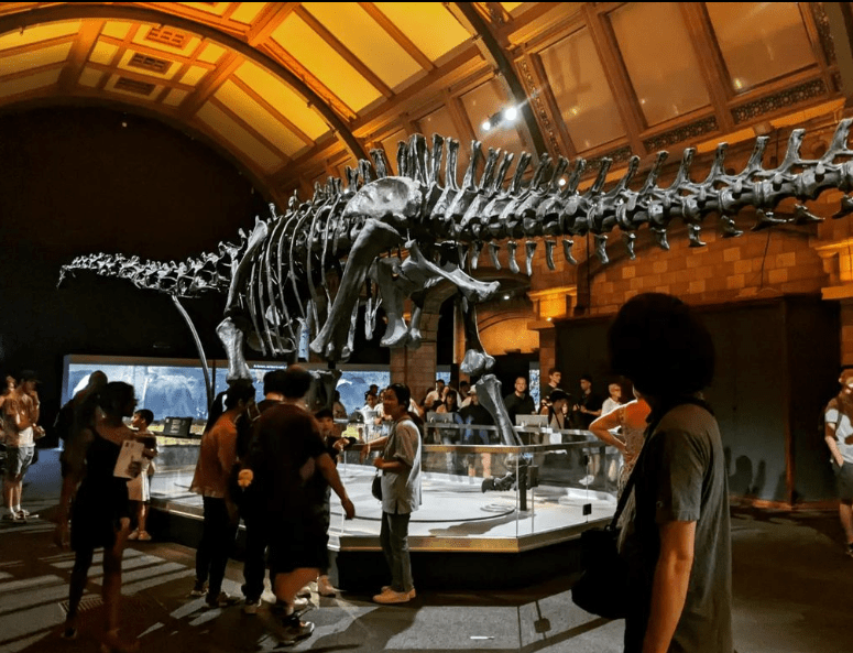 How Long Is Dippy The Dinosaur At The Natural History Museum