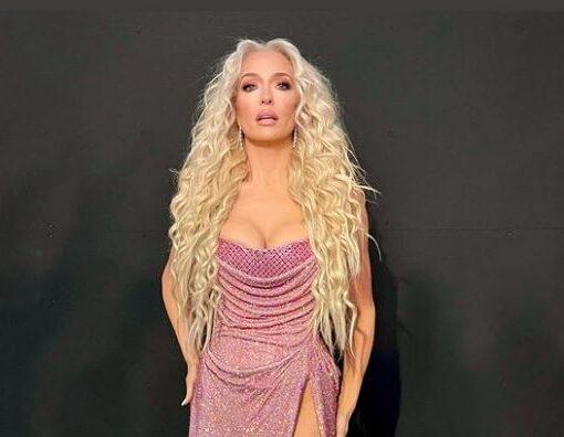 Erika Jayne Net Worth 2023 (Updated)