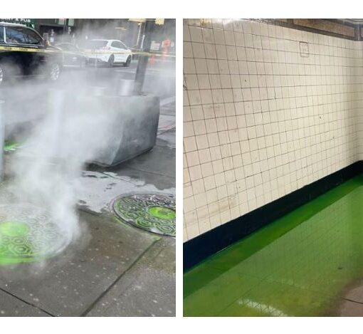 Green Slime in NYC