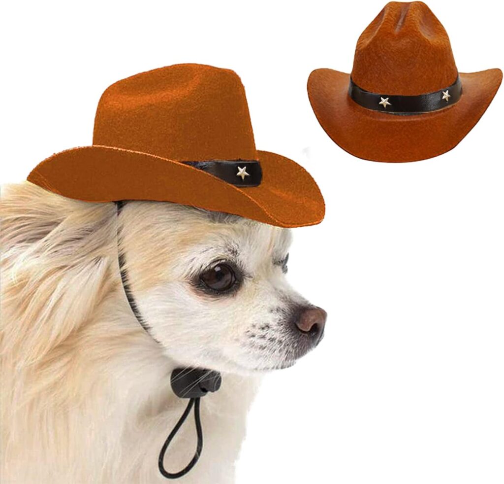 Dog Cowboy Hat