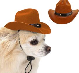 Dog Cowboy Hat