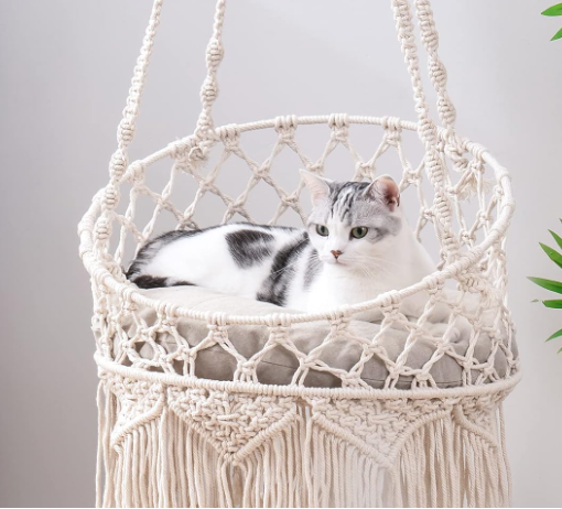 Cat's Naptime with a Stylish Macrame Bed