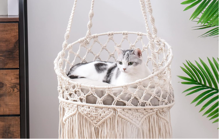 Cat's Naptime with a Stylish Macrame Bed