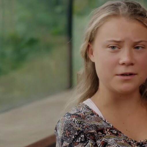 Greta Thunberg Boyfriend